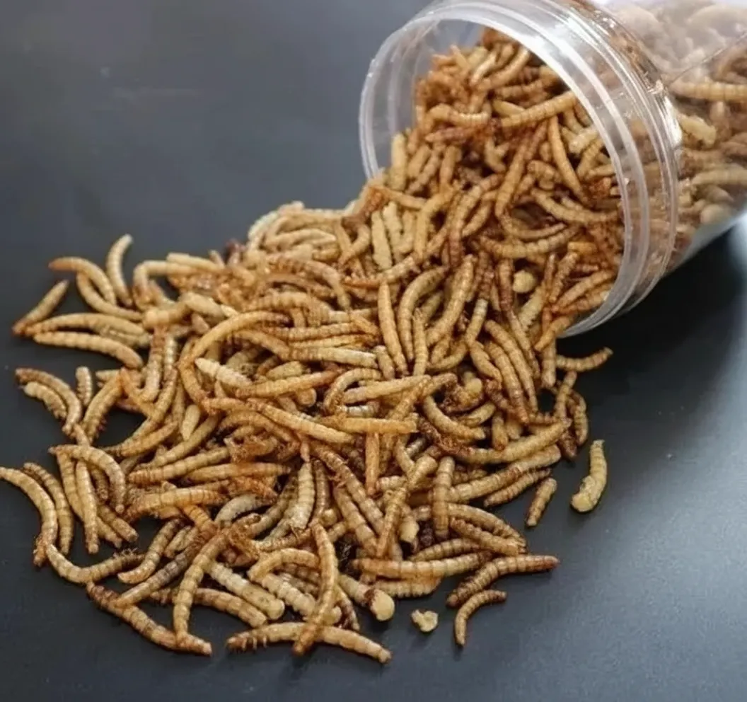 Bulk Defatted Mealworm Protein Powder image thumbnail
