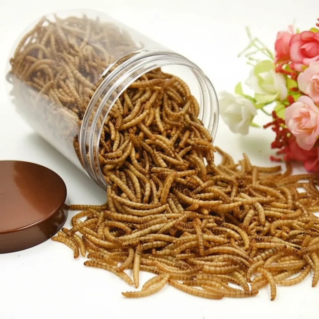 dried mealworms bulk supplier image thumbnail