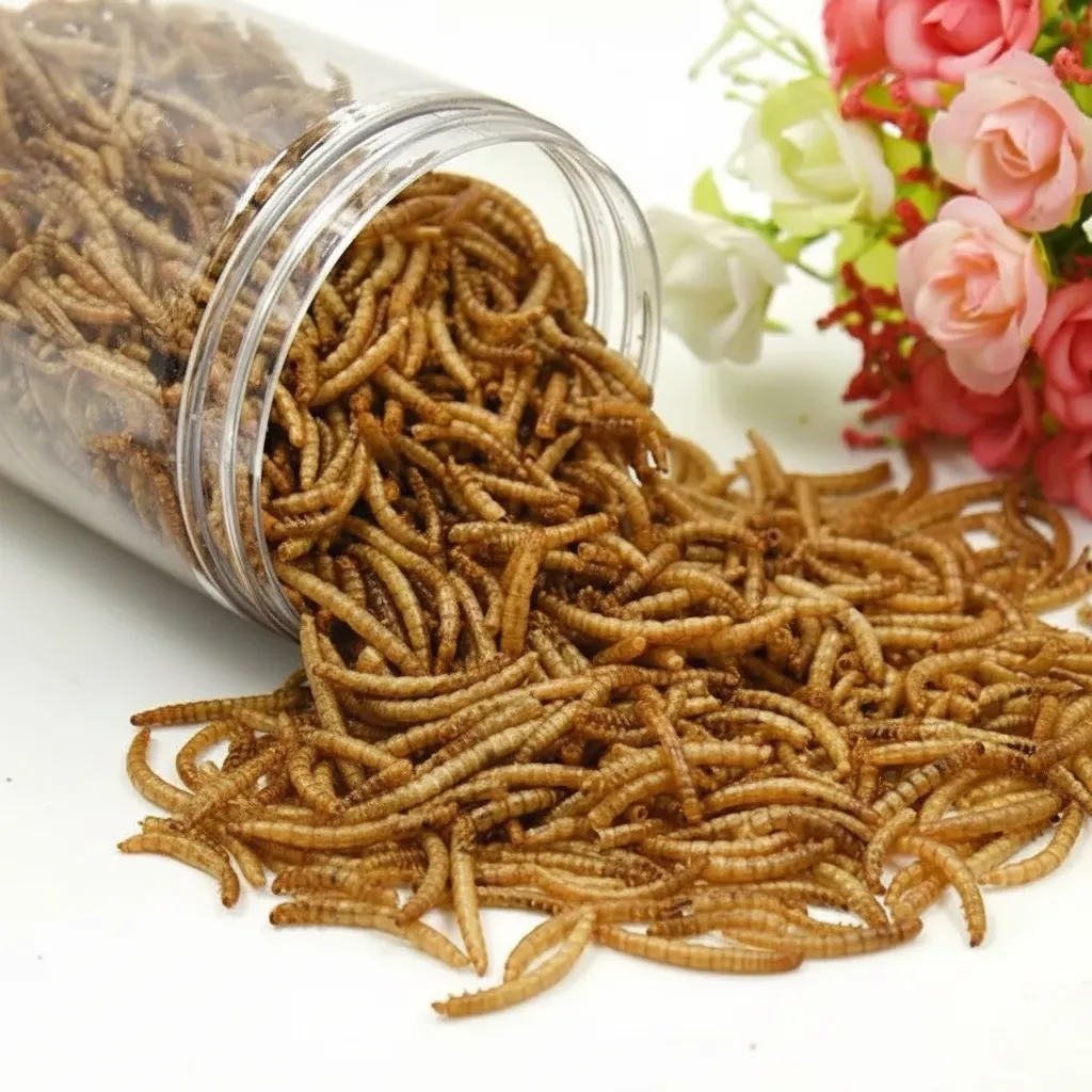 Bulk Defatted Mealworm Protein Powder image thumbnail