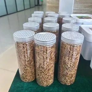 Protein worms for birds image thumbnail