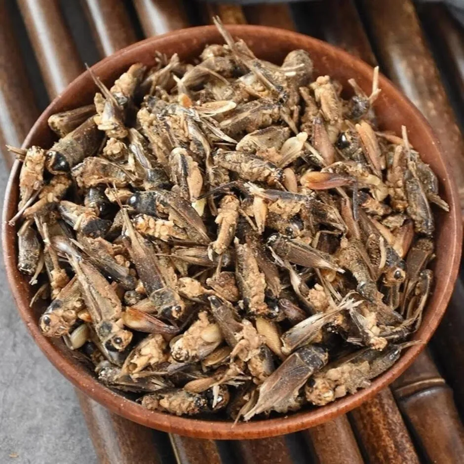 Dried Crickets