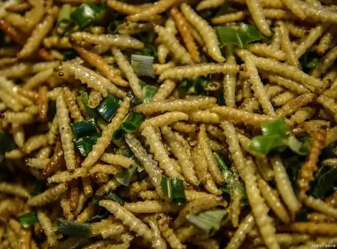 mealworms for poultry feed wholesale bulk image thumbnail