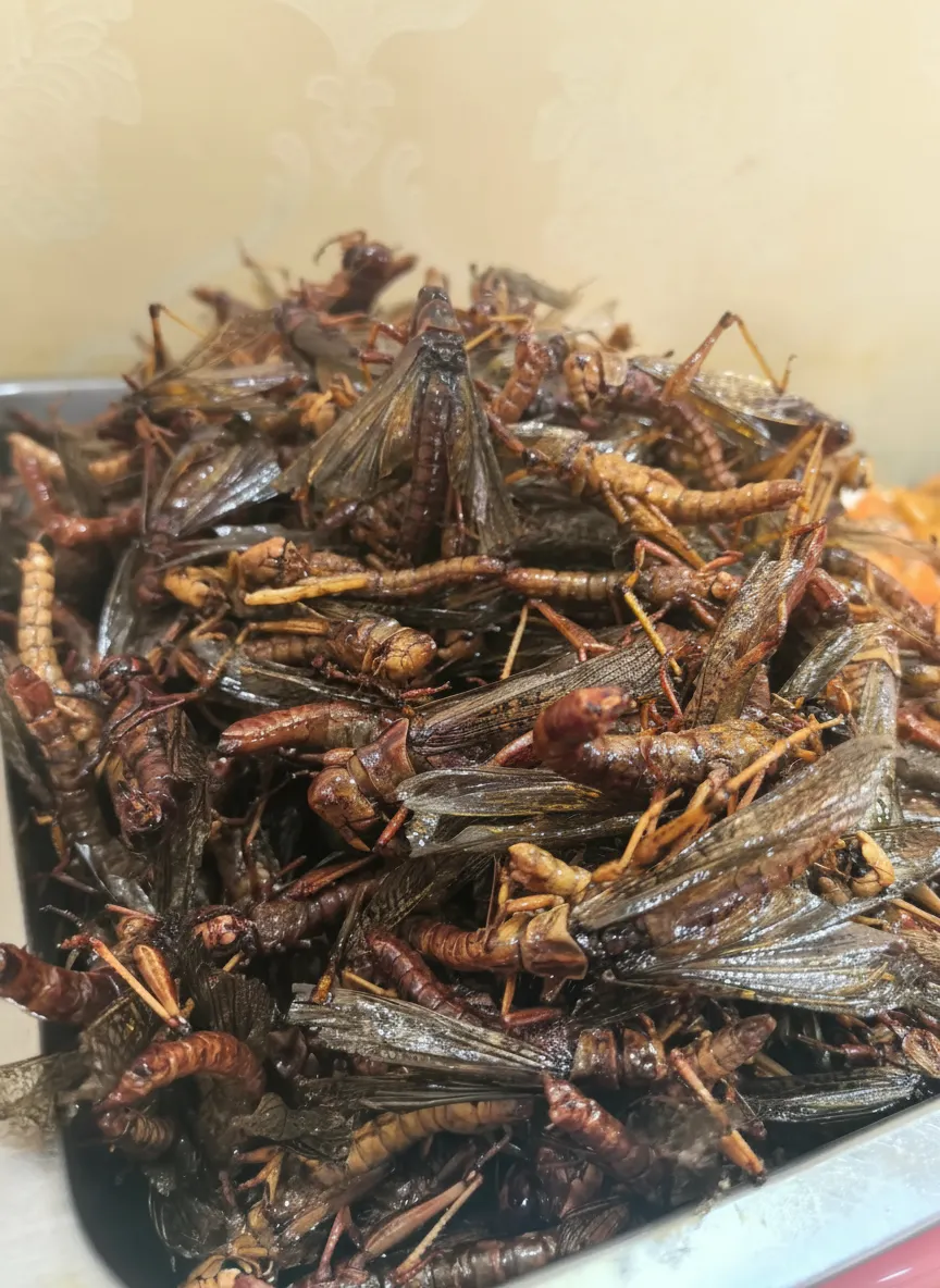 Zero-Additive Dried Locusts for Organic Feed image thumbnail