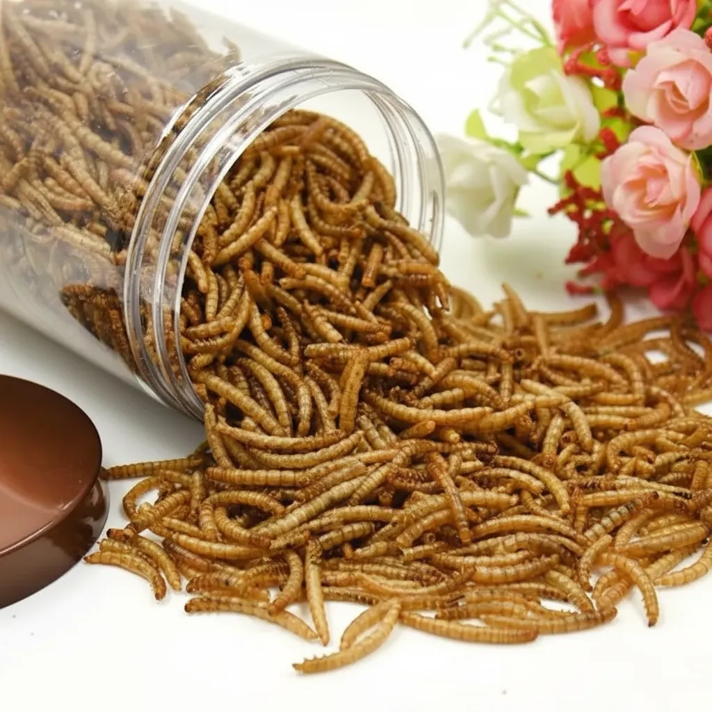 Chinese Mealworm Producer Serving the North American Market image thumbnail