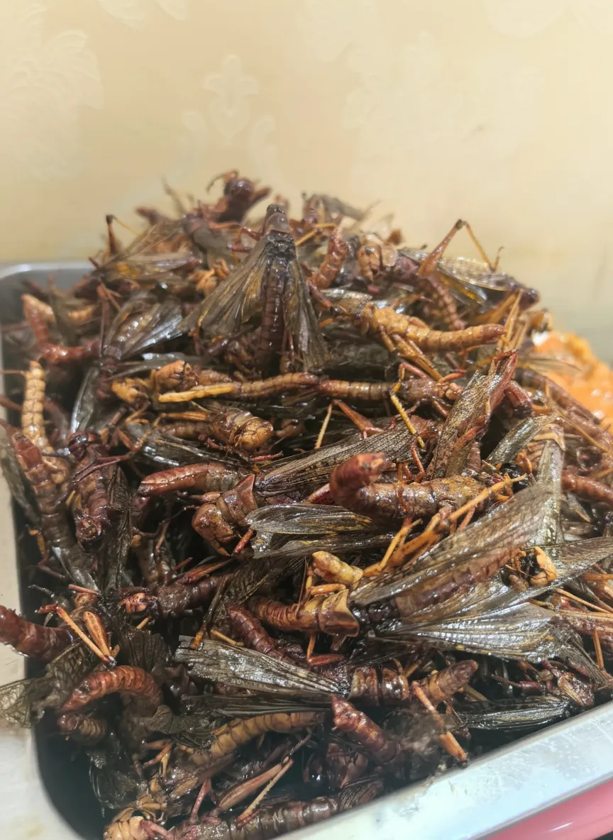 Bulk Supply of Dried Grasshoppers for Insect Protein Premixes image thumbnail