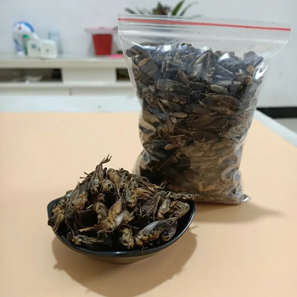 Bulk Wholesale High-Protein Dried Crickets