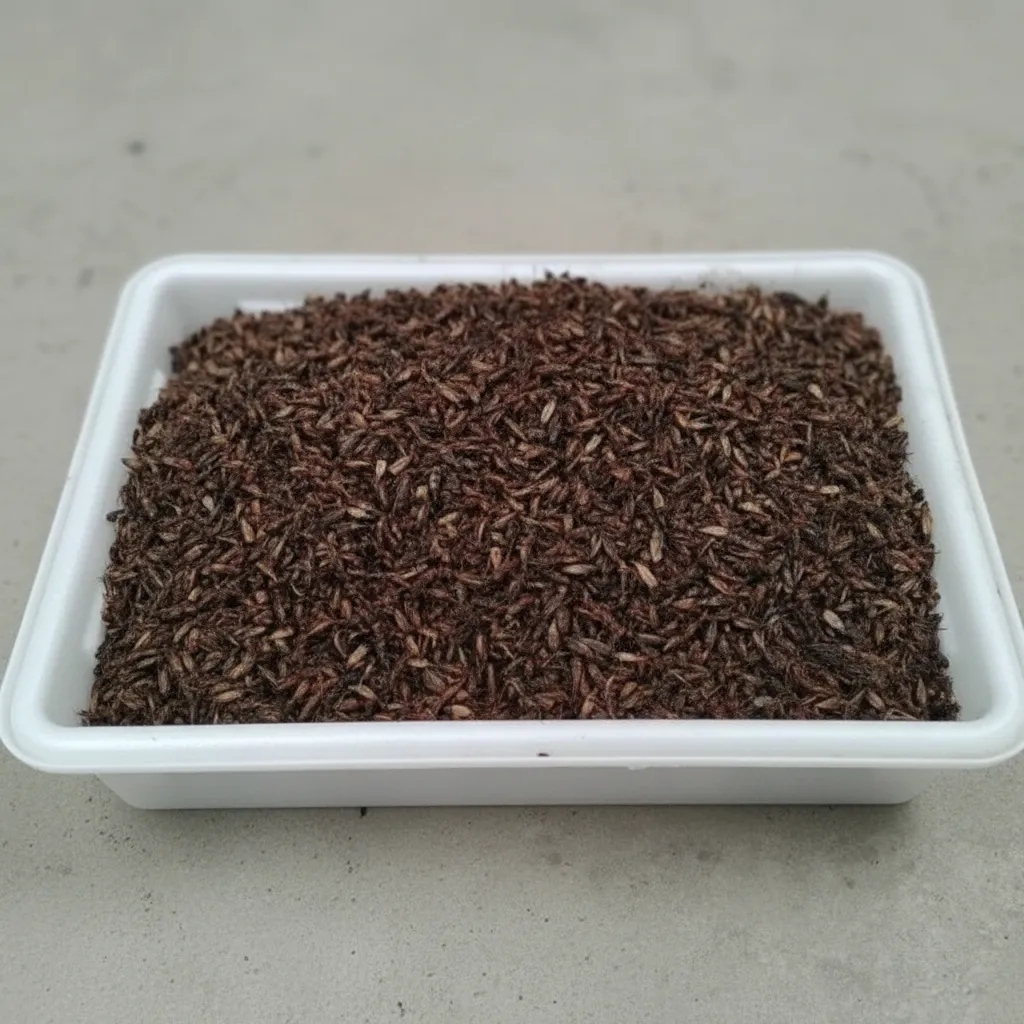 Bulk Supplier of Whole Dried Crickets image thumbnail