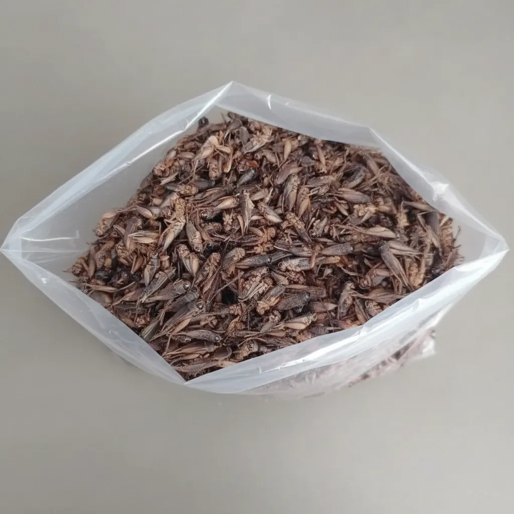 Bulk Dried Crickets for Pet Food Production image thumbnail