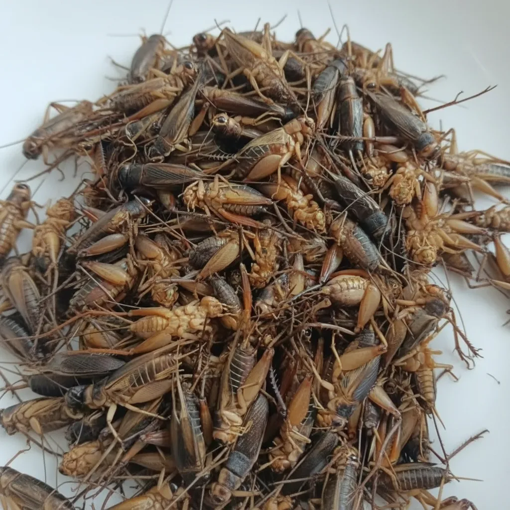 Chinese Wholesale Manufacturer of Bulk Dried Crickets image thumbnail