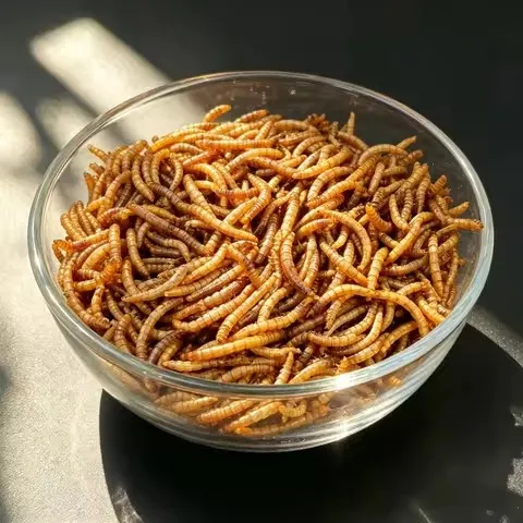 Chinese Freeze-Dried Insect Manufacturer