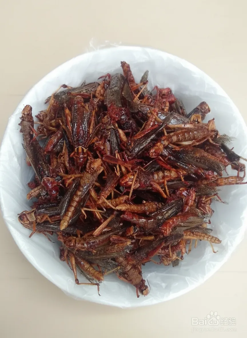 Bulk Supply of Dried Grasshoppers for Insect Protein Premixes image thumbnail