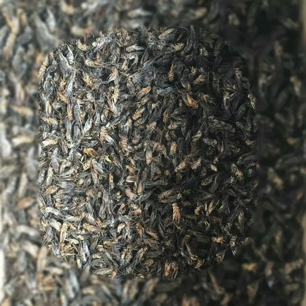 Bulk Supplier of Vacuum-Packed Dried Crickets image thumbnail