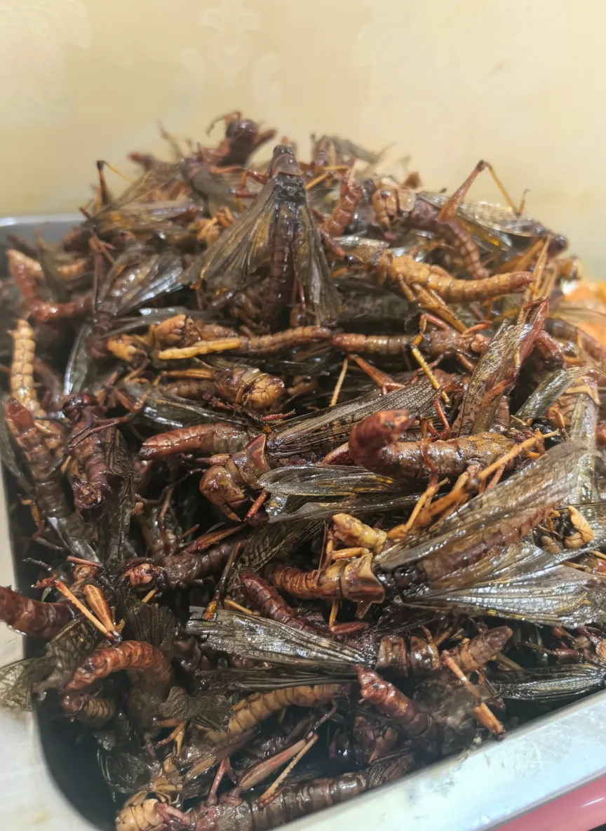 Bulk Dried Grasshoppers for Commercial Laying Hen Farming image thumbnail