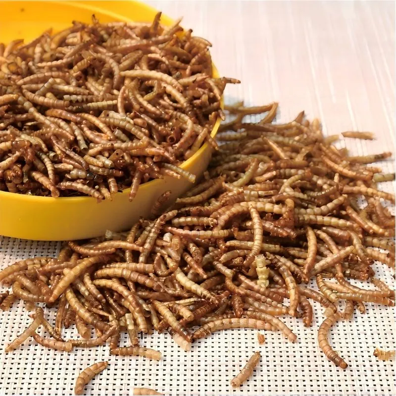 dried BSFL bulk supplier factory direct price image thumbnail