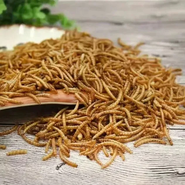 protein worms
