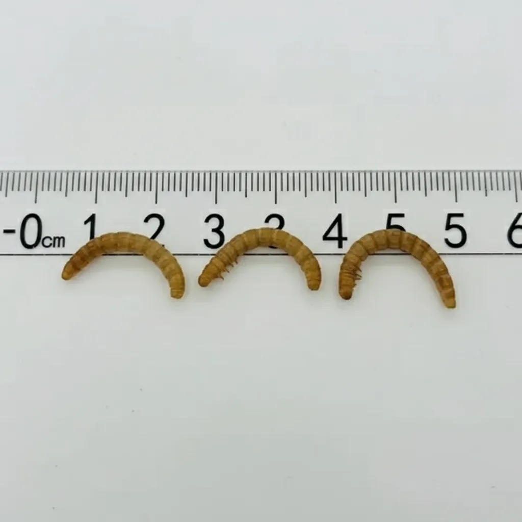 Exotic pet calcium worm food image thumbnail