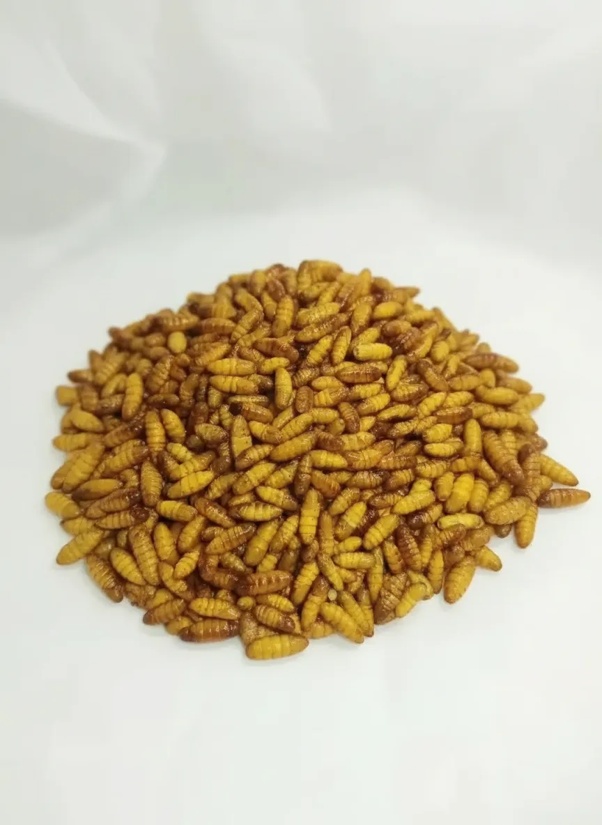 High-Protein Dried Silkworm Pupae image thumbnail