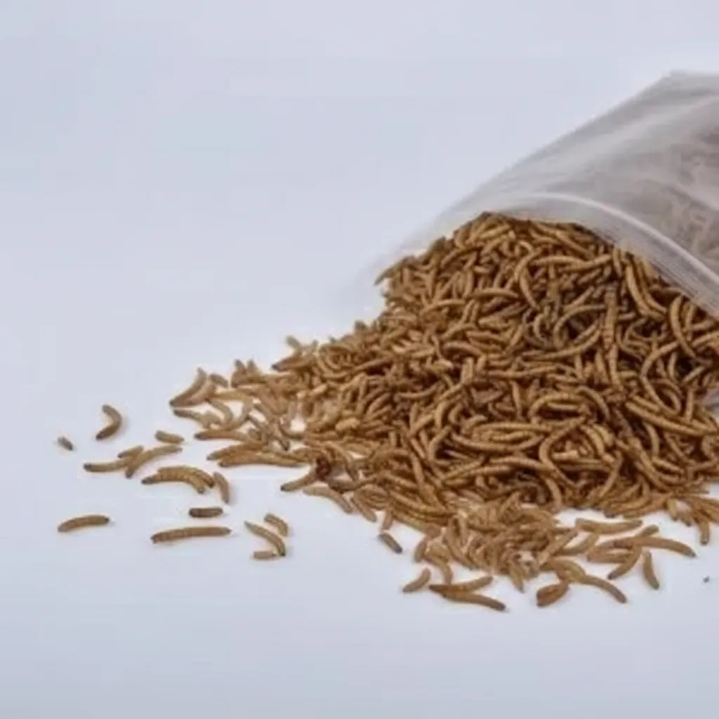 Natural live protein feeder worm image thumbnail