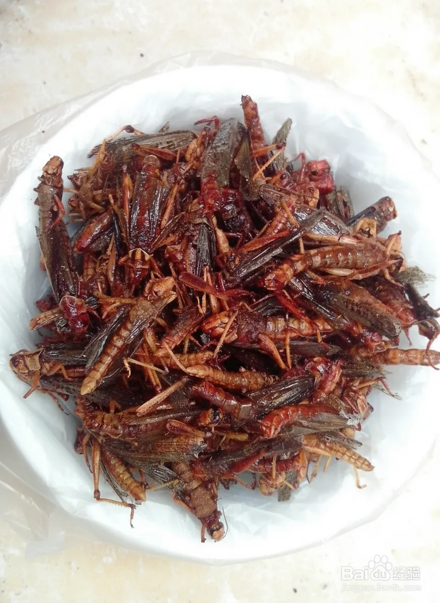 Exotic Pet Grasshopper Snacks image thumbnail