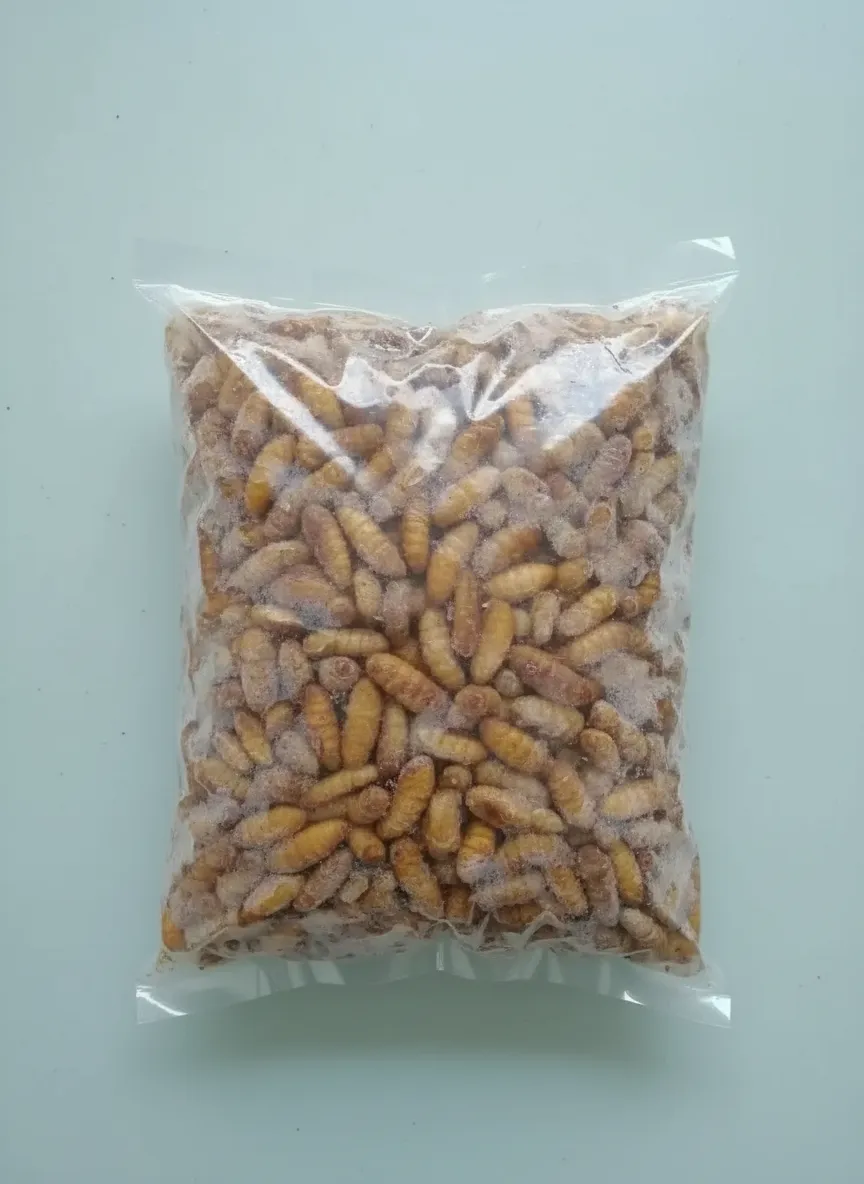 Vacuum-Packed Silkworm Pupae