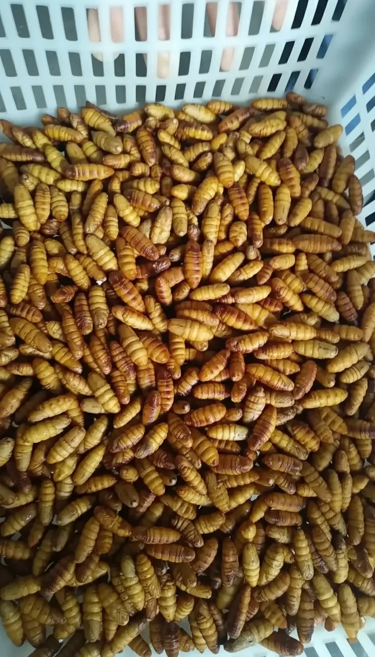 High-Protein Dried Silkworm Pupae image thumbnail