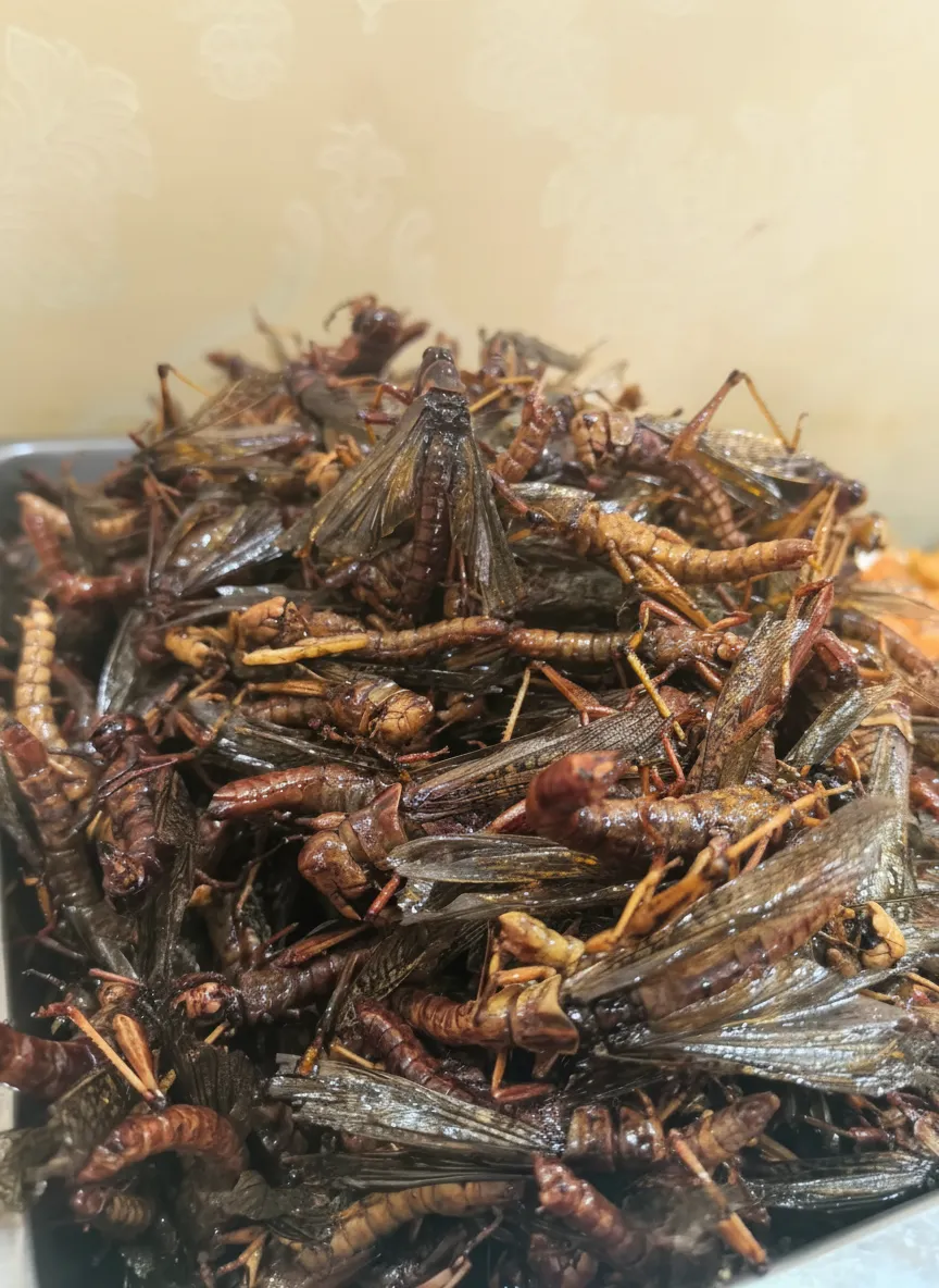 Exotic Pet Grasshopper Snacks image thumbnail