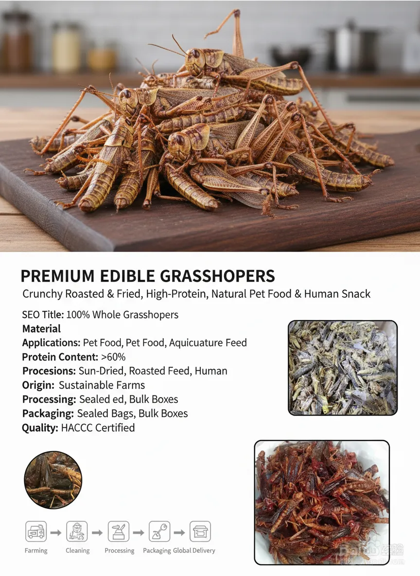 Exotic Pet Grasshopper Snacks manufacturer