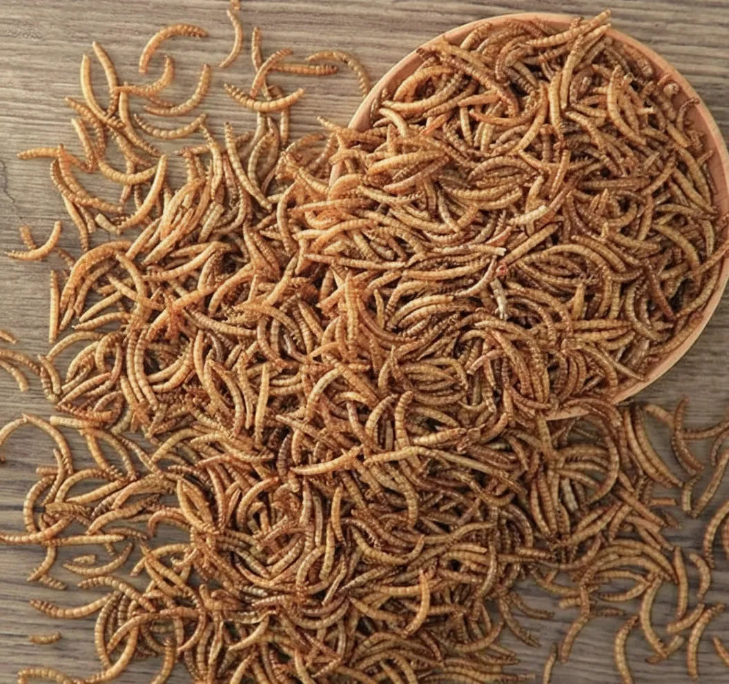 Live protein worm for reptile image thumbnail