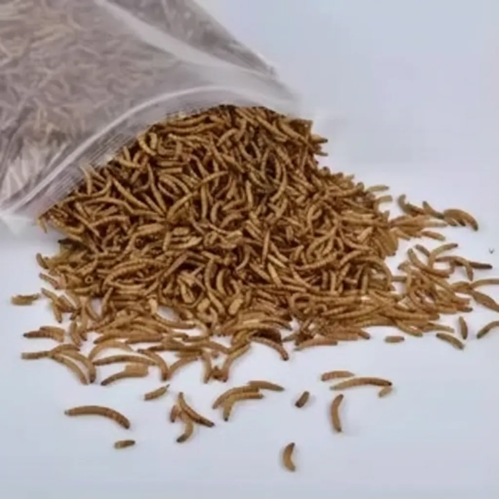 High protein calcium worms